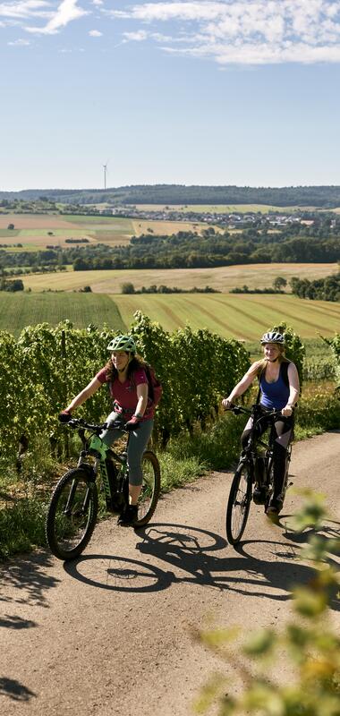 Radfahren im Weinberg in Külsheim, Taubertal, Baden-Württemberg, Deutschland