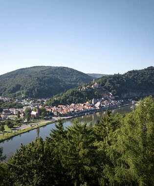 Hirschhorn, Odenwald, Baden-Württemberg, Deutschland