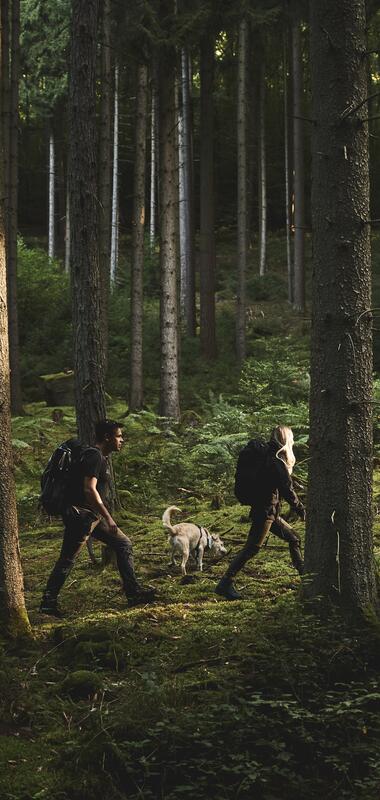 Burgruine Eberbach, Rhein-Neckar, Baden-Württemberg, Deutschland