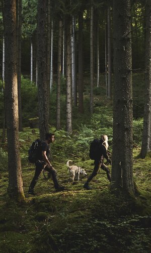 Burgruine Eberbach, Rhein-Neckar, Baden-Württemberg, Deutschland | © Stefan Leitner