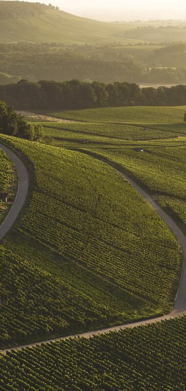 Brackenheim, Kraichgau-Stromberg, Baden-Württemberg, Deutschland