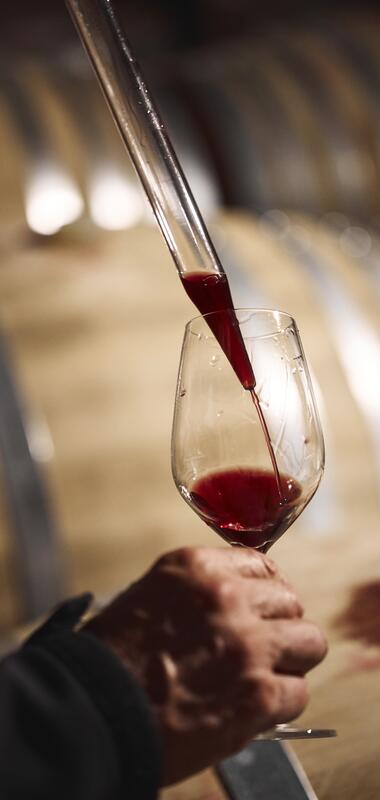 Weingut Schlör, Baden-Württemberg, Deutschland