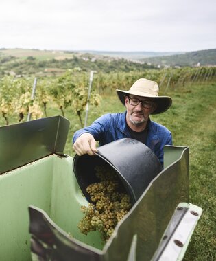 Weingut Ehrmann, Baden-Württemberg, Deutschland | © Stefan Leitner