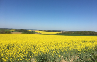 Beim Schloß Michel | © Mühling