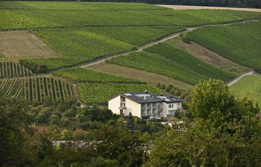Benz  Das Weinhotel