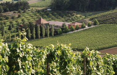 Benz  Das Weinhotel