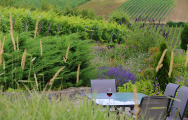 BENZ Weingut & Weinhotel | © Unbekannt