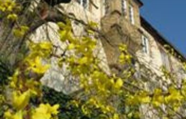 Burg Ehrenberg