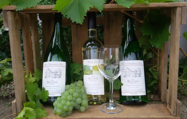 Ferienhof Ott im Rothenburger Land | © Unbekannt