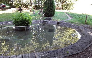 Ferienwohnung Monika Scholtz | © Unbekannt