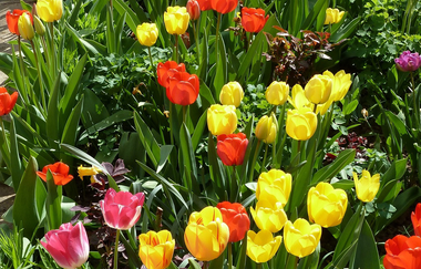 Ferienwohnung Nörpel | © Unbekannt