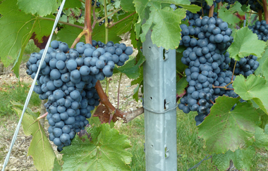 Ferienwohnung Nörpel | © Unbekannt