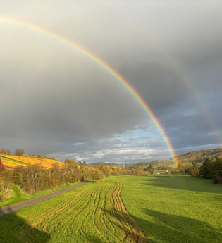 Ferienwohnung Weinbergblick