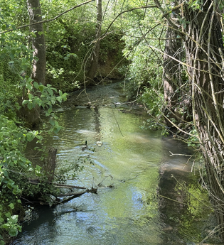 Ferienwohnungen Auszeit Taubertal | © Petra Amann-Klärle