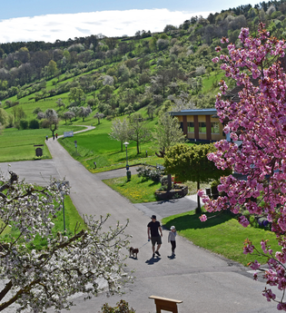 Ferienwohnungen Hein | © Unbekannt