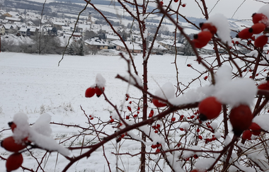 FeWo Haus KLARO klassifiziert F*** nach DTV | © Klaus Seidenspinner