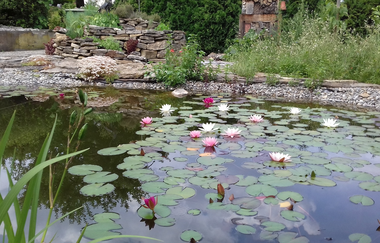 FeWo Haus KLARO klassifiziert F*** nach DTV | © Klaus Seidenspinner