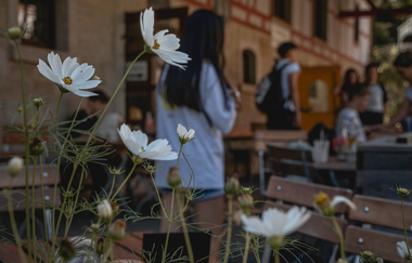 Gasthaus Holdermühle | © Unbekannt