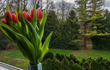 Gasthof Ochsen Nordheim | © Gasthof Ochsen