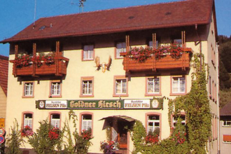 Gasthof Pension Goldener Hirsch