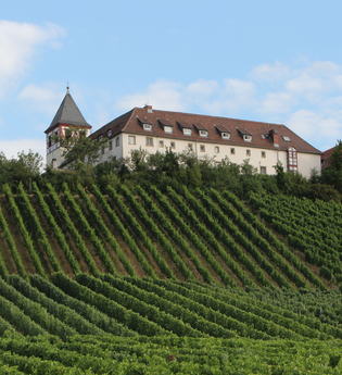 Außenansicht des Jugendhauses auf dem Michaelsberg | © Neckar-Zaber-Tourismus e.V.