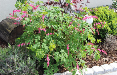 Landhaus Rothenburg | © Unbekannt