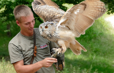 Natur-Resort Tripsdrill | © Erlebnispark Tripsdrill