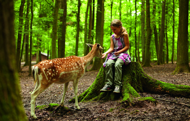 Natur-Resort Tripsdrill | © Erlebnispark Tripsdrill