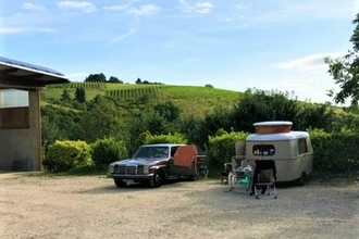 Ökologischer Land- & Weinbau Seitz | © Liebliches Taubertal