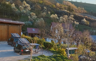 Ökologischer Land- & Weinbau Seitz | © Liebliches Taubertal