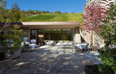 Rebgut - Die Weinherberge | © Unbekannt