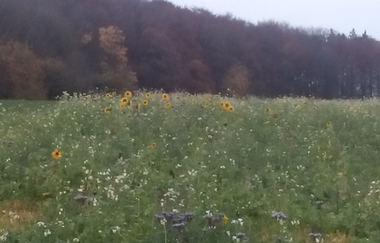 Relaxen im Taubertal | © Unbekannt