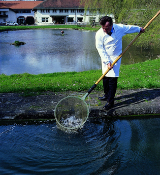 Waldhotel Wohlfahrtsmühle