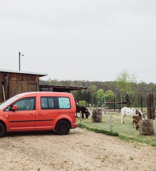 Ein rotes Auto steht vor einer Scheune. Auf der rechten Seite sind zwei Esel. Hardheim im Odenwald. | © Freizeit- und Ferienreiterhof Odenwald