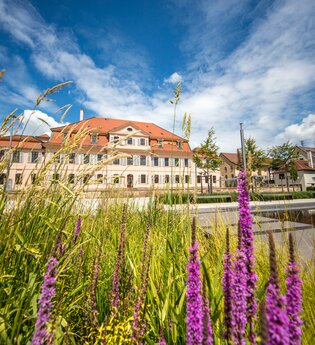 Wohnmobilstellplatz bei Weinkellerei Kölle - Bönnigheim | © Stadt Bönnigheim