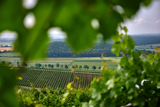 Wohnmobilstellplatz Panoramaweingut Baumgärtner Sachsenheim | © Stadt Sachsenheim