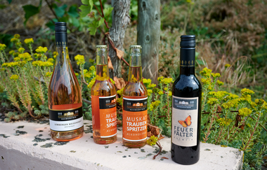 Wohnmobilstellplatz Panoramaweingut Baumgärtner Sachsenheim | © Stadt Sachsenheim