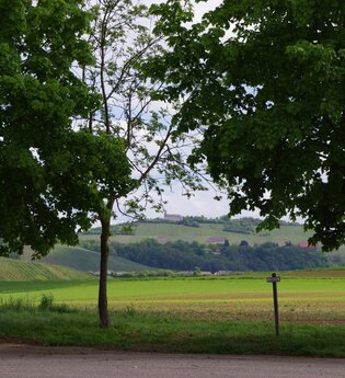 Stellplatz | Weingärtner Cleebronn-Güglingen | HeilbronnerLand | © Weingärtner Cleebronn-Güglingen