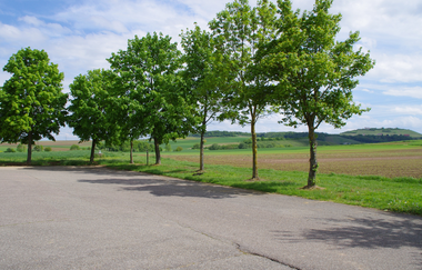 Stellplatz | Weingärtner Cleebronn-Güglingen | HeilbronnerLand | © Weingärtner Cleebronn-Güglingen