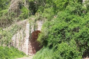 ***AUSGEBUCHT***  Vergessene Bahnstrecke Meckesheim - Wiesloch | © Rainer Zimmermann