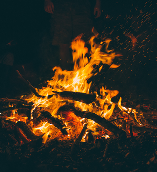 „Wilde Sau“ – kulinarischer Abendspaziergang zur Sommersonnwende
