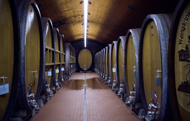 Afterwork "Wine Not"?