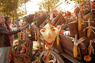 Ein älteres Paar betrachtet einen herbstlich dekorierten Wagen mit Kürbissen und Maiskolben. | © Erlebnispark Tripsdrill