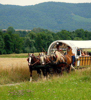 Auf den Spuren der Maulbronner Mönche