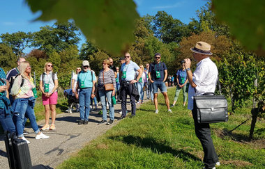 Bad Schönborner Weinwandertag