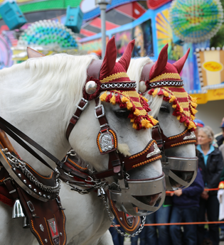Bietigheimer Pferdemarkt | © Stadt Bietigheim-Bissingen
