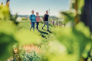 Eine Familie wandert den Weinwanderweg am Krappenfelsen durch die Weinberge entlang. | © Touristikgemeinschaft HeilbronnerLand