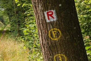 Eberbach wandert