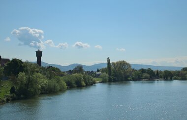 Entlang des Neckars von Mannheim zur Schwabenheimer Schleuse