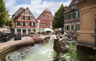 Entlang des Neckars von Mannheim zur Schwabenheimer Schleuse